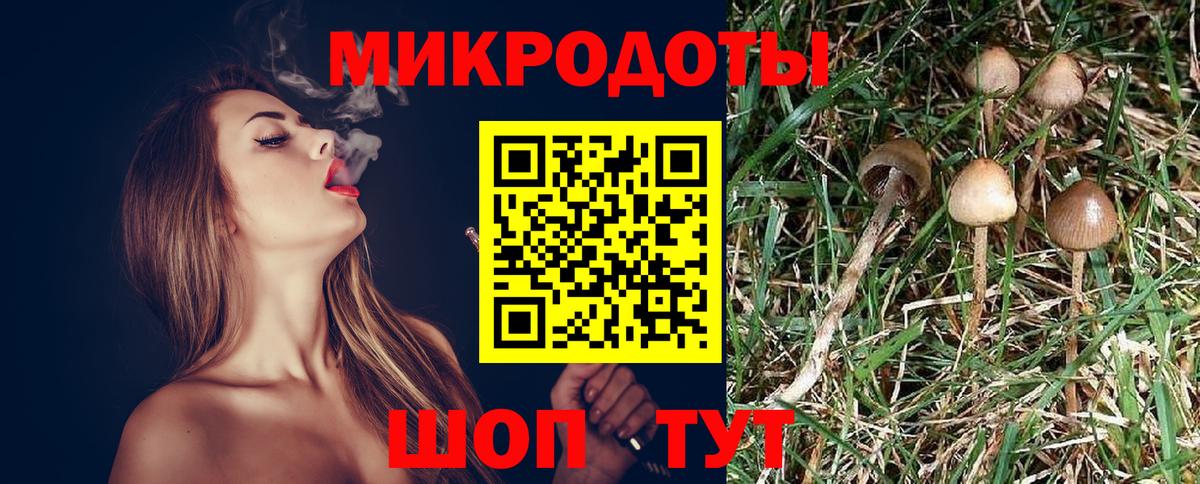 Галлюциногенные грибы GOLDEN TEACHER Таганрог