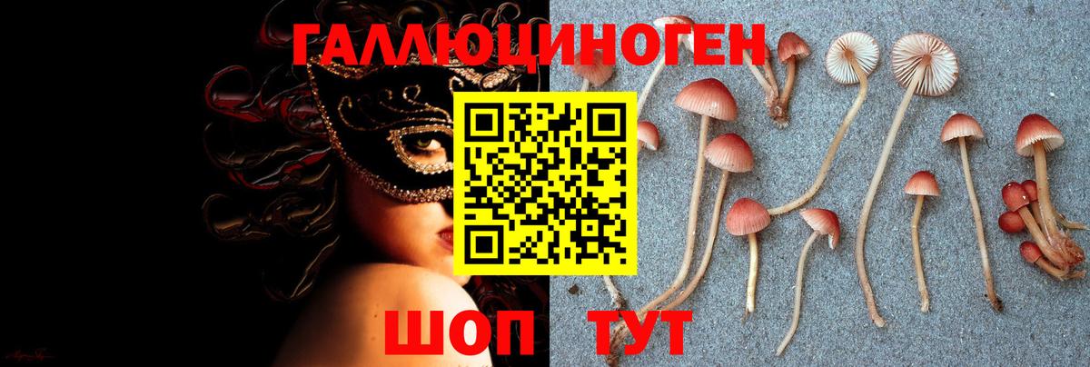 Псилоцибиновые грибы прущие грибы  Псилоцибиновые грибы GOLDEN TEACHER  Таганрог  Вход с VPN 